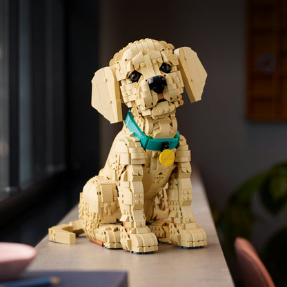 A posable LEGO® Golden Retriever Puppy with a teal collar and yellow tag sits on an indoor ledge.