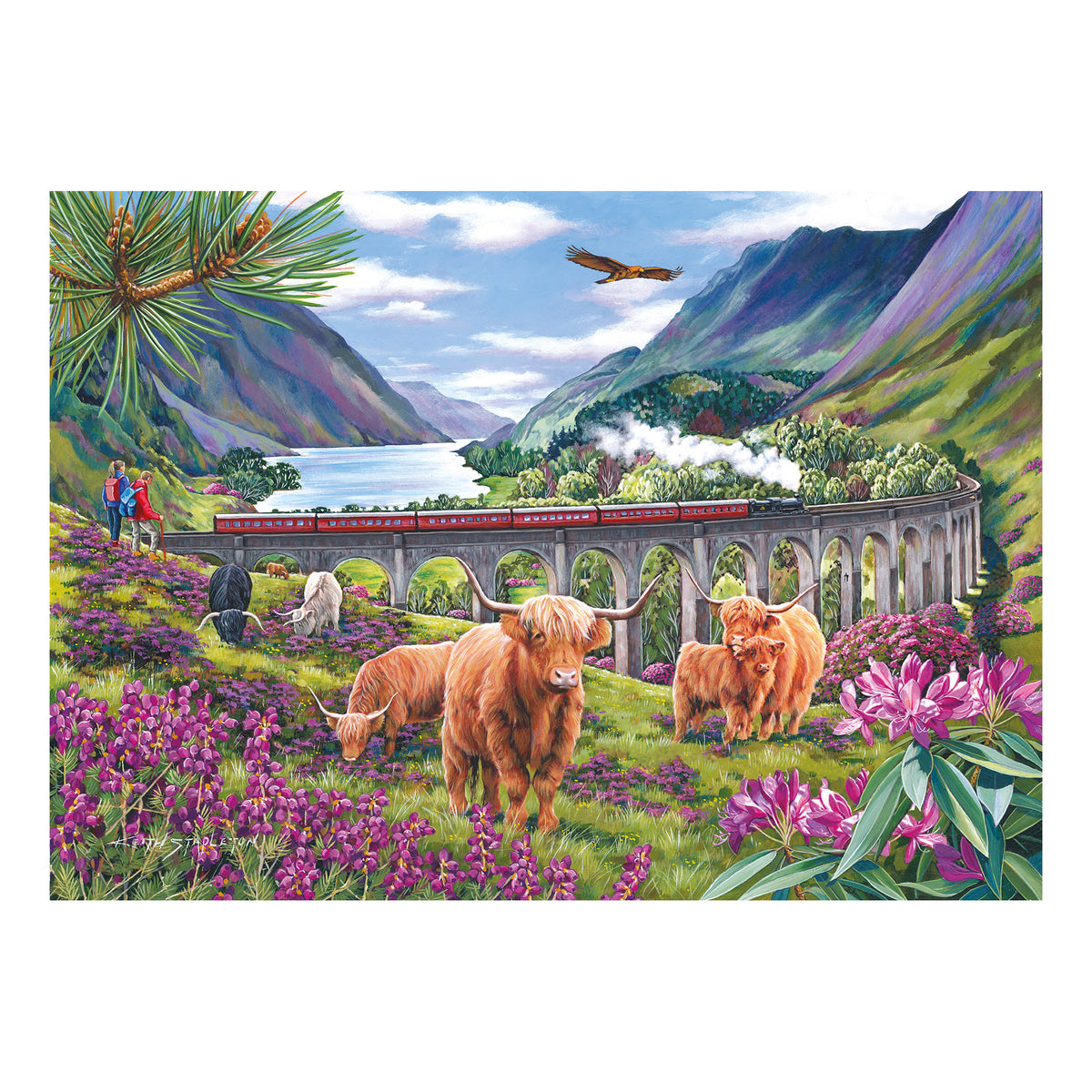 Highland cattle graze in a purple meadow beneath a steam train on the Glennfinnan viaduct, featured on this puzzle.