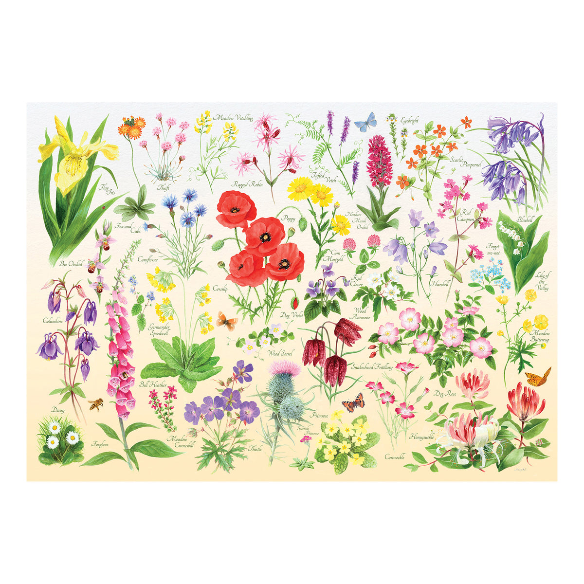Illustrated wildflowers and insects with species labels on a House of Puzzles 150 Piece Mini Jigsaw Puzzle Tube.