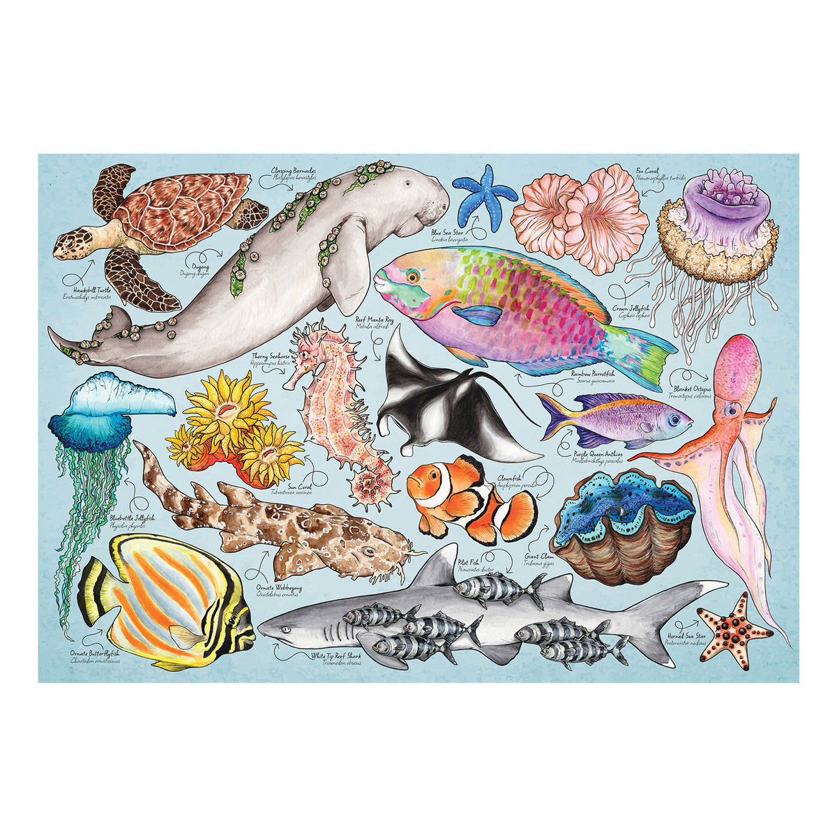 Illustration for House of Puzzles 150 Piece Mini Jigsaw Puzzle Tube - Great Barrier Reef showing marine life.