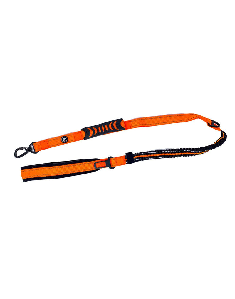 Full image of the orange The Good Dog Bungee Leash with Seatbelt Clip 