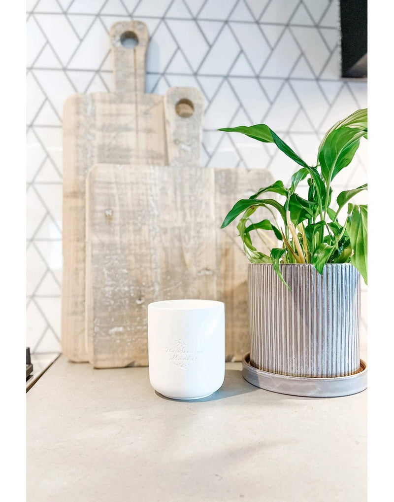Lifestyle image of the white candle on a kitchen counter with a potted plant beside and two wooden cutting boards leaning up against the wall behind it