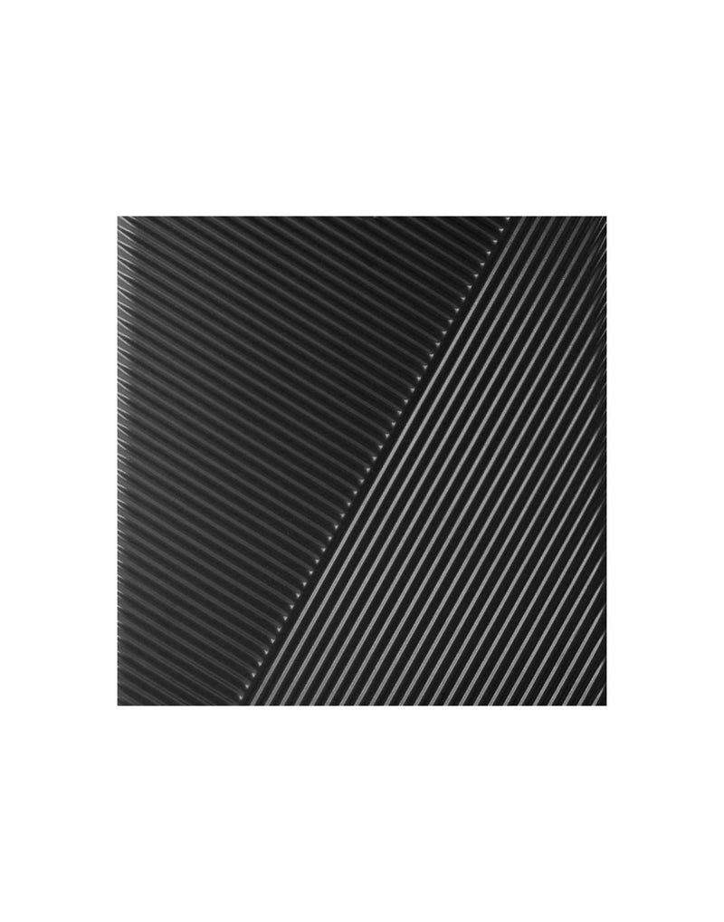Close up of shell design of thin black intersecting ridges